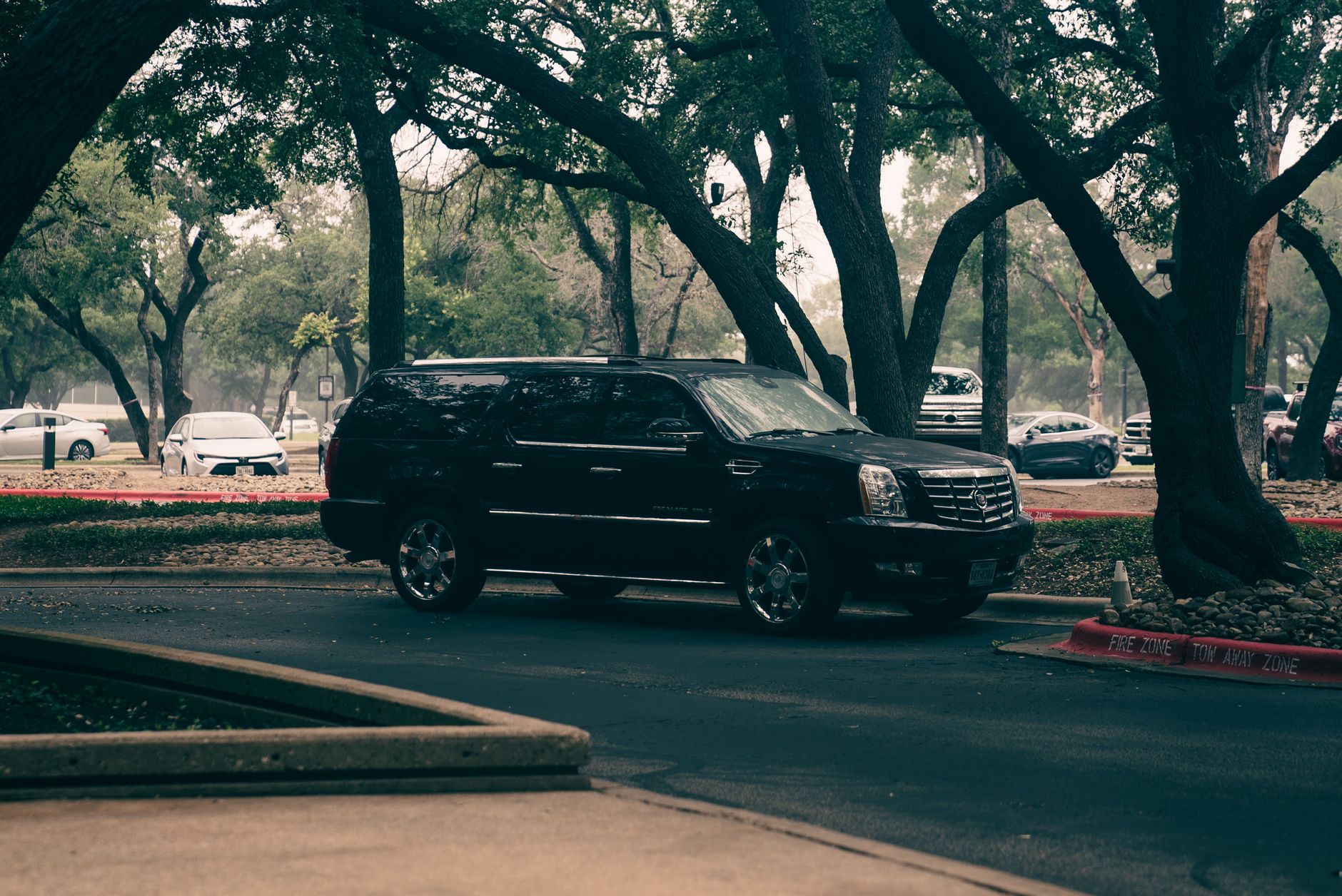 Black luxury SUV parked under trees in an urban area, showcasing modern elegance.
