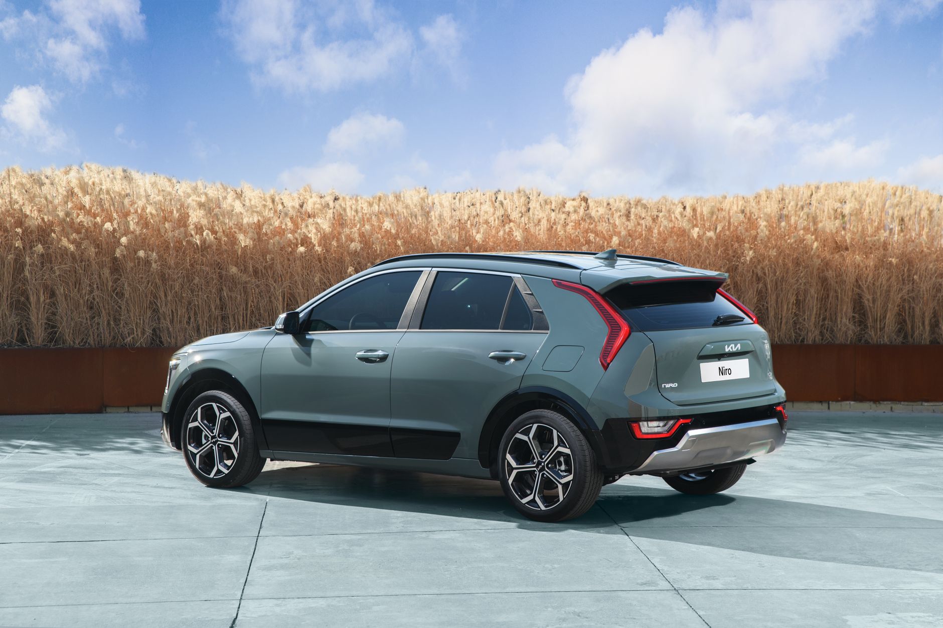 Hybrid SUV parked in an autumn scene with clear skies and tall reeds.