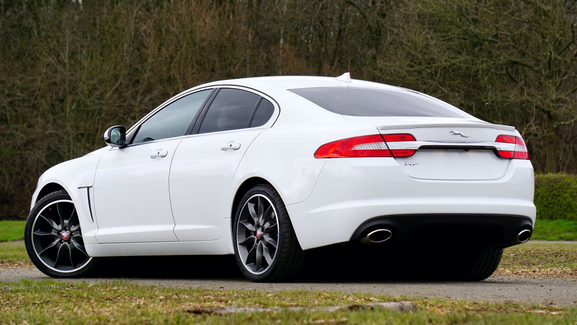 A sleek white Jaguar XF sedan parked outdoors with alloy wheels on a country road.